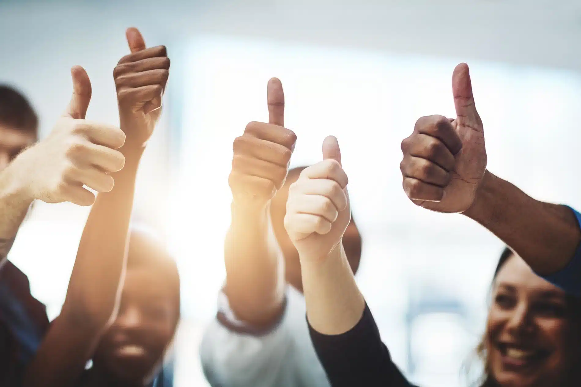 Comment organiser son équipe en entreprise ? Comment organiser son équipe en entreprise ?