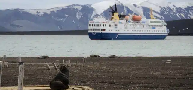 Partir en croisière en Antarctique : combien ça coûte vraiment ?